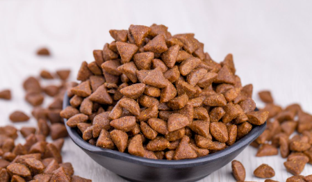 猫粮|猫粮怎么做成流食