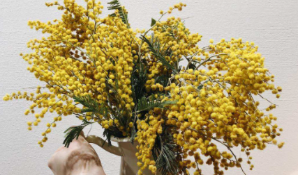 干花|干花会不会枯萎