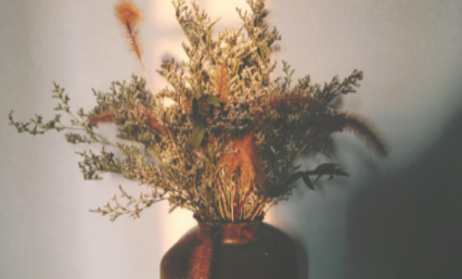 干花|干花会不会枯萎