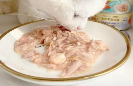 猫|猫一点盐都不能吃吗