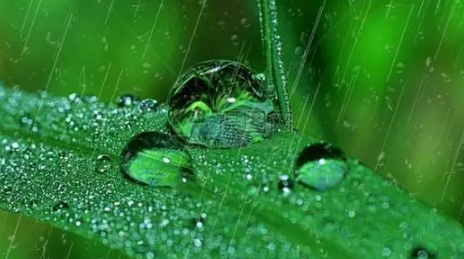雨水|2022年雨水节气是哪一天
