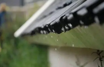 雨水|2022年雨水节气是哪一天