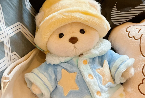 莉娜熊|莉娜熊是迪士尼的吗
