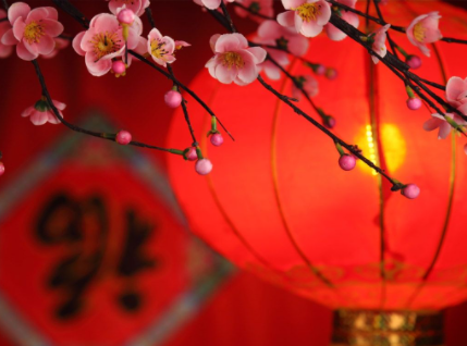 过年|过年的灯笼每年都需要换新的吗2022