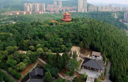 2022|2022荆门汽车消费券云闪付怎么抢