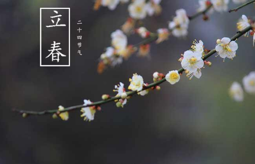 躲春|躲春一家人可以见面吗