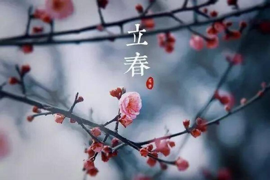 躲春|躲春一家人可以见面吗