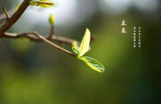 躲春|躲春是一天都不出门吗