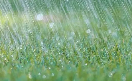 厦门|2022年厦门雨季一般是几月份