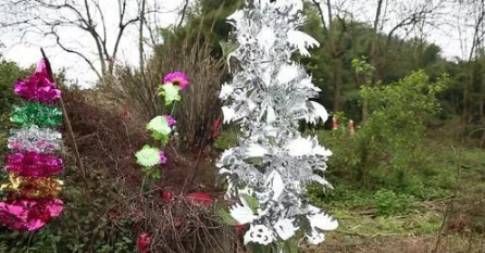 清明节|2022年清明节前一天能不能挂青