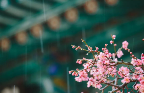 雨水|雨水节气几点到2023