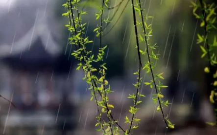 雨水|雨水节气几点到2023