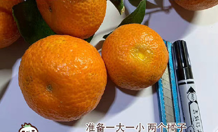 冰墩墩|冰墩墩用橘子皮怎么做