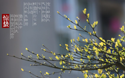 几点|今年几号几点惊蛰2023