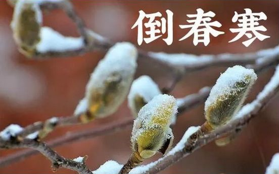 倒春寒|2022年倒春寒严重吗