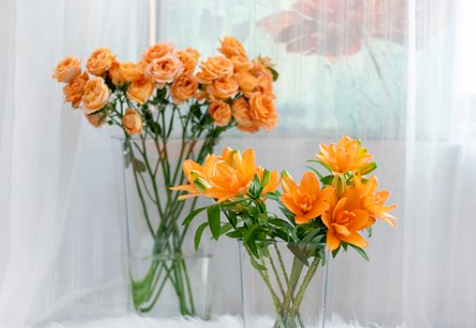 醒花|醒花要把花朵一起泡水里吗