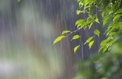 雨水节气|2022年雨水节气降雨多吗