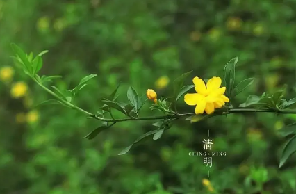 北京|2022年清明节的时候北京还冷吗