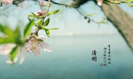 上海|2022年上海清明节会下雨吗