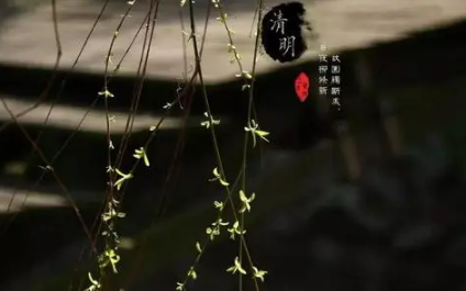 清明|2022年清明节上坟属虎的能去不