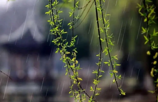 上半年|2022年上半年雨水多不多