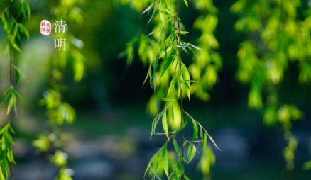 清明节|清明节上坟贡品摆几个2022