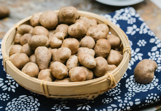 山药豆|山药豆和山药哪个更有营养