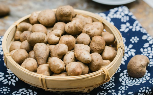 山药豆|山药豆和山药哪个好
