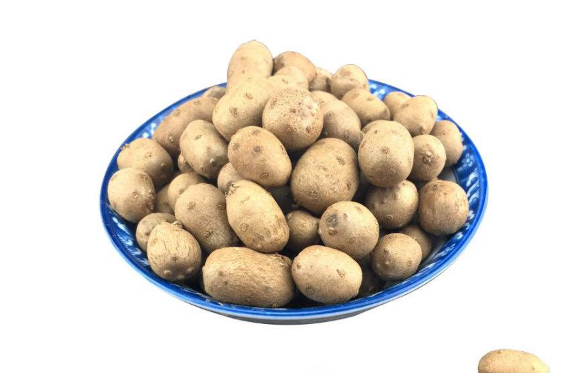 山药豆|山药豆和山药可以一起吃吗