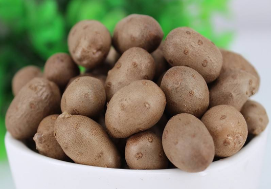 山药豆|山药豆发芽了有毒吗