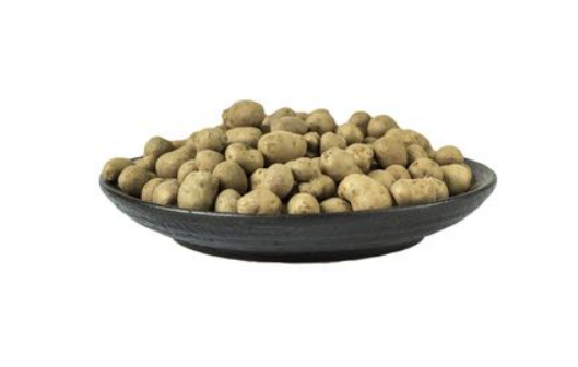 山药豆|山药豆发芽了是绿芽还是白芽