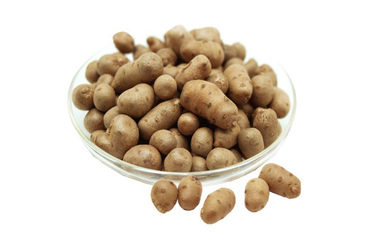 山药豆|山药豆发芽怎么处理