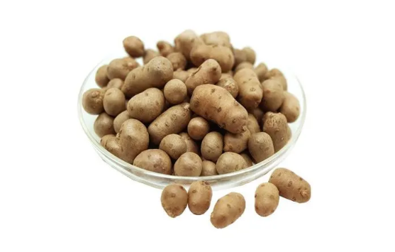 山药豆|山药豆是山药的种子还是果实
