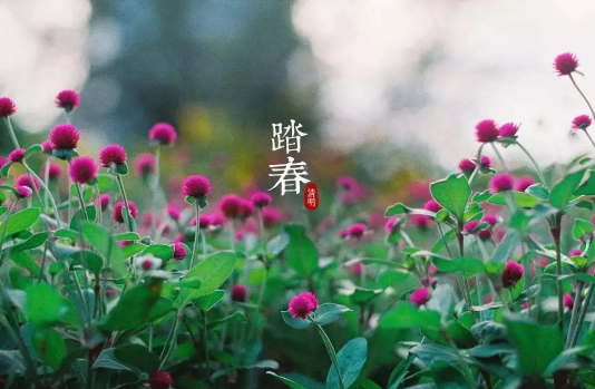 清明节|2022清明节和复活节是同一天吗