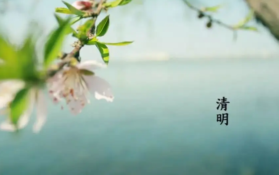 清明节|清明节小孩晚上能出门吗