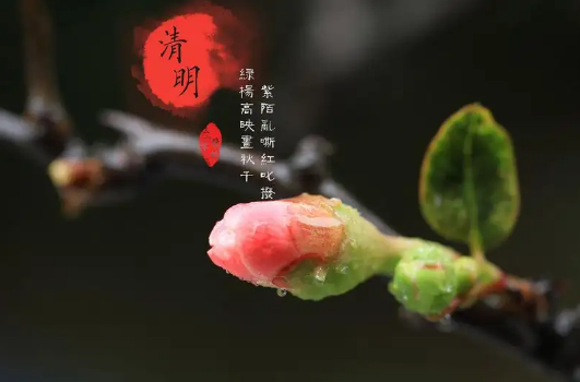 清明节|2022清明节气温大概多少度