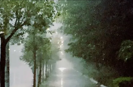 下雨天|下雨天怎么发朋友圈表示一下心情2022最新