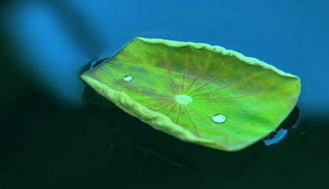 2022年|2022年小暑是几月几日星期几
