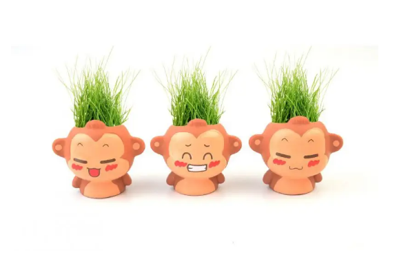 草头娃娃|草头娃娃需要全身浸泡吗