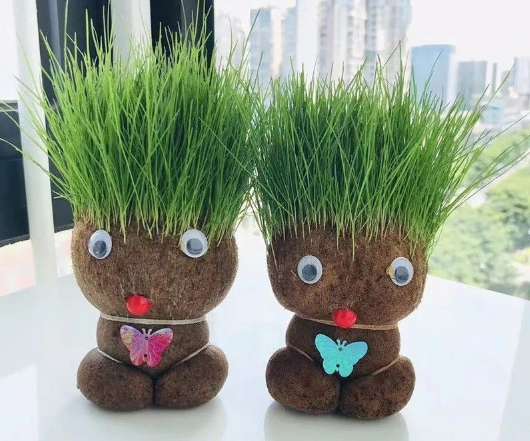 草头娃娃|草头娃娃需要全身浸泡吗