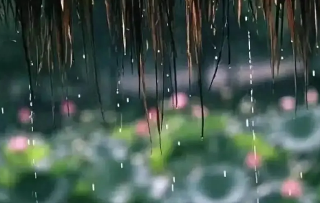 黄梅天|2022北方有黄梅天吗