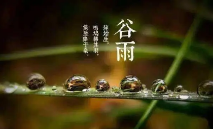 谷雨|2022谷雨过后天气还会冷吗