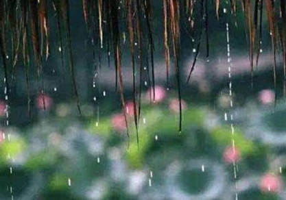 梅雨季节|2022年深圳梅雨季节是什么时间