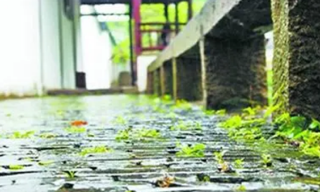 梅雨季节|2022年深圳梅雨季节是什么时间