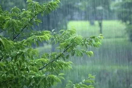 梅雨|2022年深圳几月入梅几月出梅