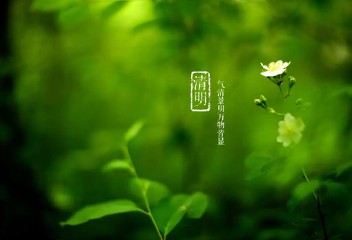 清明节|2022年清明节几点几分几秒
