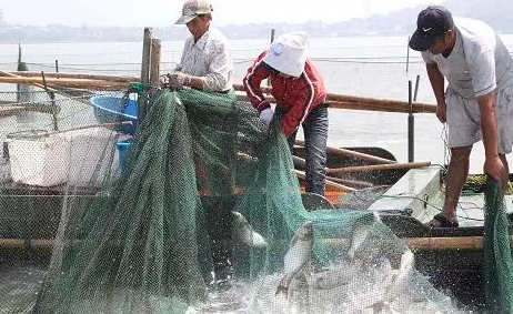 禁渔期|国家有没有规定禁止钓鱼2022