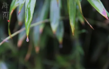 舟山|舟山梅雨季节是什么时间2022