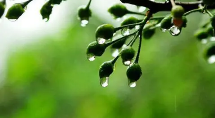 舟山|舟山梅雨季节是什么时间2022