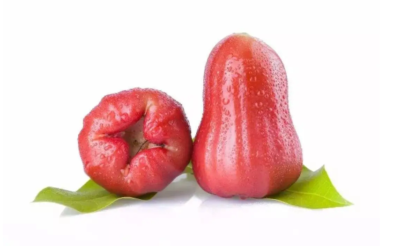 莲雾|莲雾什么时候吃是应季